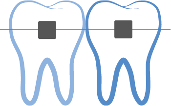 Dr. Stephanie Arenz-Orth